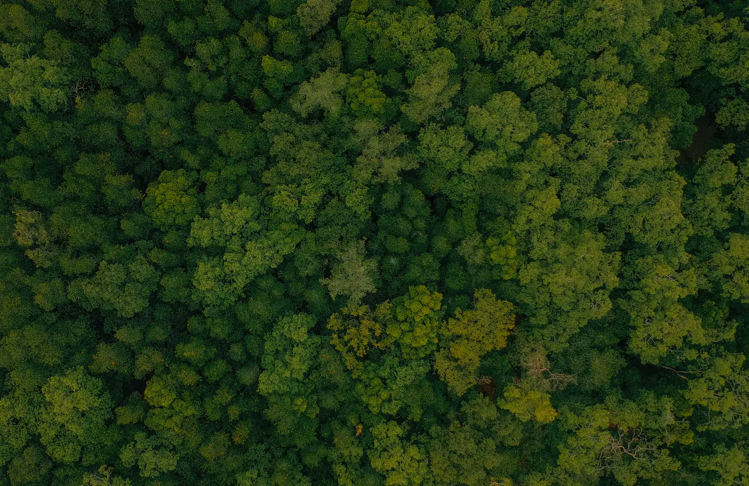 hero-background
