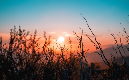 Group Launches Campaign to Protect Endangered Ecosystems