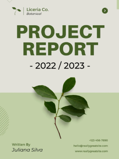 Project Report